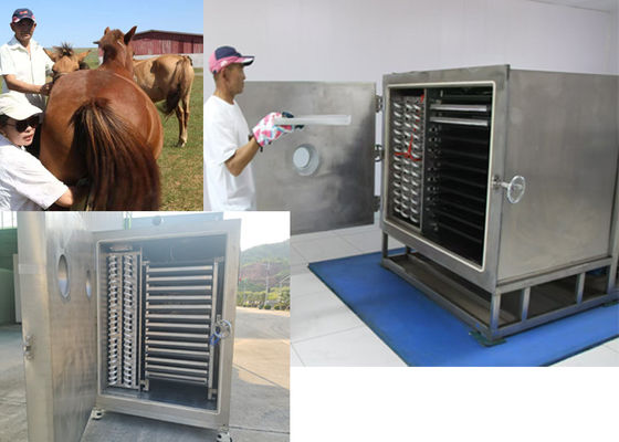 Soğutma Birimiyle Vakumlu Sebze Dondurucu