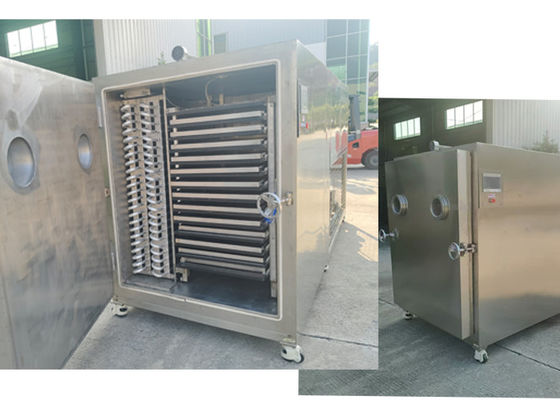 100 ~ 500Kg Endüstriyel Vakum Gıda Dondurucu Kurucu Meyve Makinesi