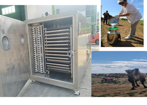 Soğutma Sistemiyle Kompakt Tasarımlı Dondurma Kuru Meyve Makinesi