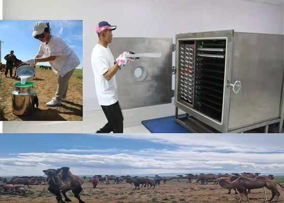 veya Leybold Kompresör Dondurma Kuru Meyve Makinesi