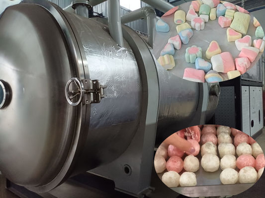 500 kg Endüstriyel Gıda Dondurucu Kurucu Gıda İşleme için Büyük Ölçekli Liyofilizer