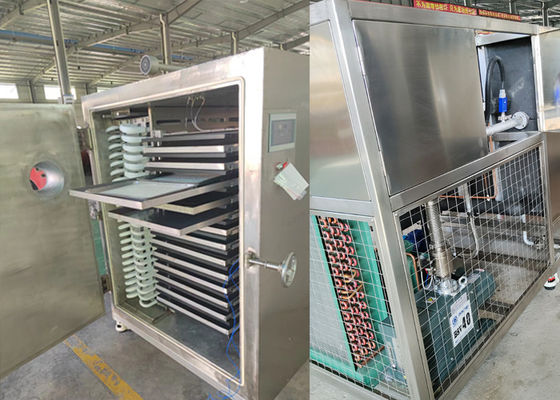 Gıda Koruma Gıda Vakum Dondurucu Makine 300Kg