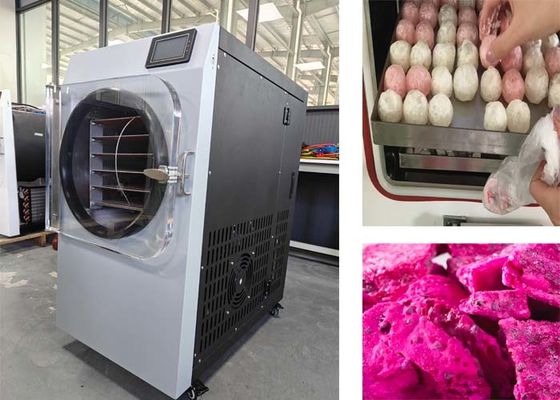 PLC Kontrol Sistemi Ev Kullanımı İçin 304 Paslanmaz Çelik Dondurucu Makine