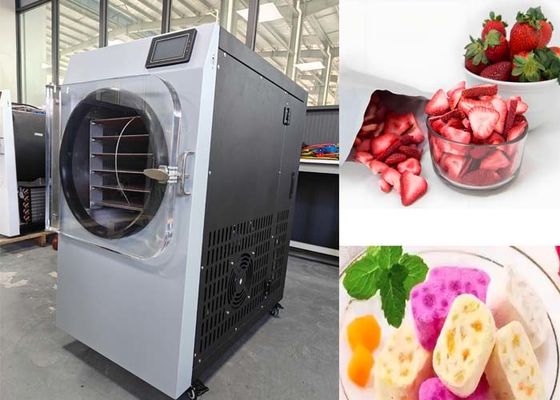 Vakum Sistemi Farmasötik Endüstrisi için Küçük Ev Dondurucu Kurucu