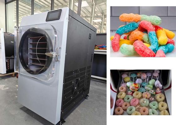 Şeker Dondurucu Satın Al Şokolatalı Dondurma Dondurma Makinesi 6KG Kapasite