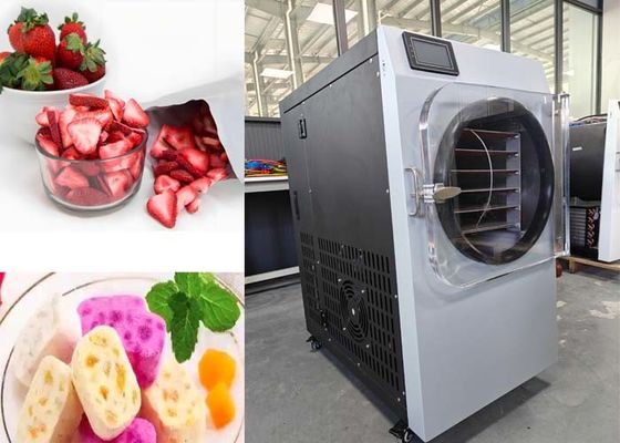 220V 20-25kg Kapasite Ev için Dondurma Kurutma Makinesi