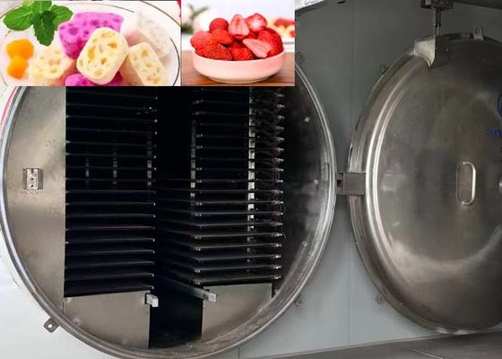 Yüksek Kapasiteli Endüstriyel Dondurucu 1000kg/parti 13Pa Vakum seviyesi