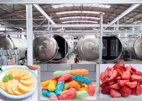Farmasötik 1000Kg Vakum Dondurucu Kurucu Makinesi Gelişmiş Kurulama Teknolojisi