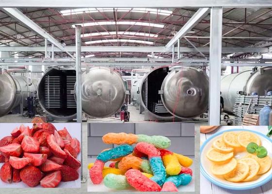 Endüstriyel Güçlü Otomatik İşlem Modu ile Dondurma Kurutma Makinesi