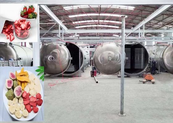 1000Kg Güçlü Vakum Dondurma Kurutma Makinesi Endüstriyel Kullanım