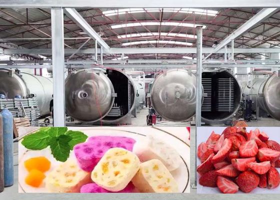 Hızlı 20-24 saatlik hassas kurutma sonuçları için 1000Kg büyük dondurucu