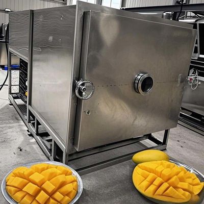 FreezeDryTech Pro Mango Gıda Saklama Sebze ve Meyve için Liyofilizör