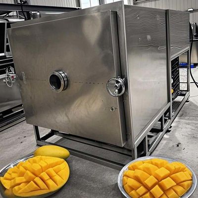 Meyve Sebze Dondurma Kurutma Makinesi Ticari Lyophilizer 100KG Kapasite