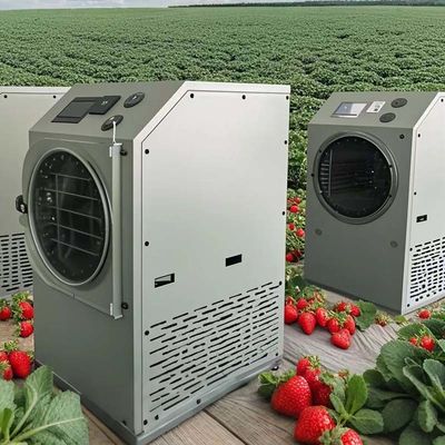 Dondurucu Kurucu Liyofilizasyon Makinesi 6KG 10KG 20KG Evde Gıda Koruma
