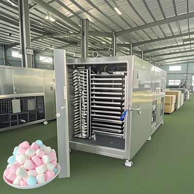Endüstriyel Vakum Dondurucu 300KG Otlar için Büyük Toplu İşleme Ekipmanı