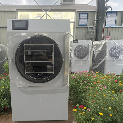 Gelişmiş Kompakt Teknoloji 20kg Küçük Ev Dondurucu Kurucu Tazelik Enerji tasarruflu Mini Günlük Kullanım