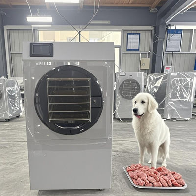 6-8Kg Orta Boy Ev Tipi Dondurarak Kurutucu, PLC Kontrol Sistemli SUS304 Paslanmaz Çelikten İmal Edilmiştir