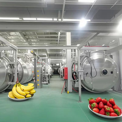Ağır Güçlü Lyophilizer 500kg Meyve / Sebze / Kahve / Deniz Meyveleri için Endüstriyel Dondurucu