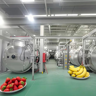 Ticari Endüstriyel Dondurma Kurutma Ekipmanı Laboratuvar / Fabrika Kullanımı için 1000kg Kapasite