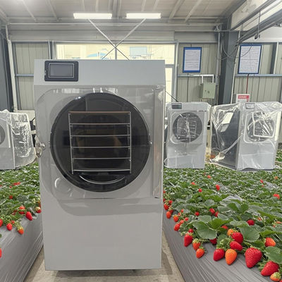 20kg Küçük Ticari Dondurucu Kahve / Otlar Dehidrasyonu için Otomatik Kontrol