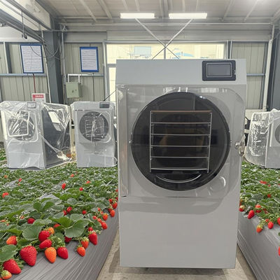 6kg Pilot Dondurucu Ar-Ge, Küçük Toplu Üretime Dokunmatik PLC ile