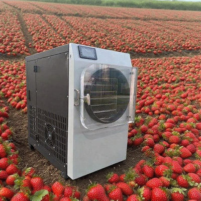 304 Paslanmaz Çelik ve Bosch Pompalı Ticari Liyofilizatör - Yüksek Verimli Dondurarak Kurutucu