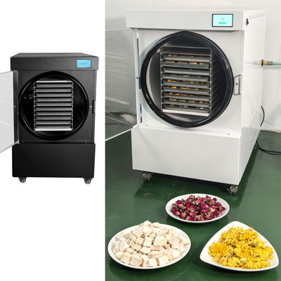 220V/50-60HZ SUS304 Paslanmaz Çelikten İmal Edilmiş Küçük Dondurarak Kurutucu