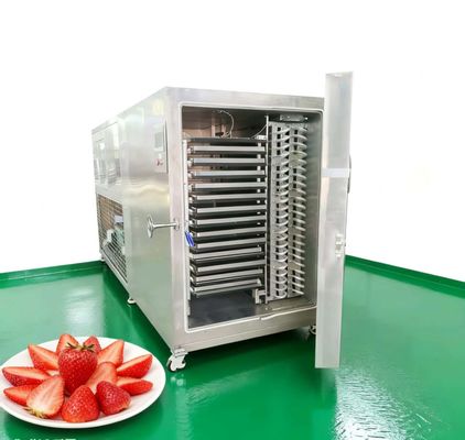 Commercial Lyophilizers for Sale: 50KG, 100KG, 200KG Freeze Dryers with Factory Direct Pricing