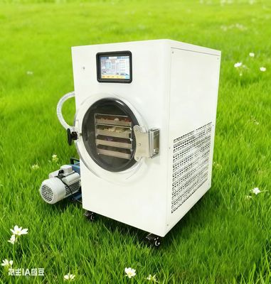 Acil durum gıda tedarikleri oluşturun Ev Depolama için dondurucu kurutma Acil durum hazırlığı Gıda depolama