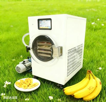 Kolay Evde Dondurma Kurutucu Bahçenizin Hasatını Koruyun Kullanımı Kolay, Bahçıvanlar İçin Mükemmel