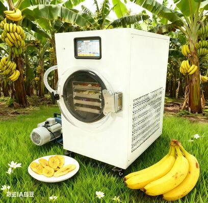 Sağlıklı atıştırmalıklar kolaylaştırıldı. Dondurma kuru meyveler, yoğurt ve hasat hakkı ile daha fazlası. Ekler yok, tüm kontrol