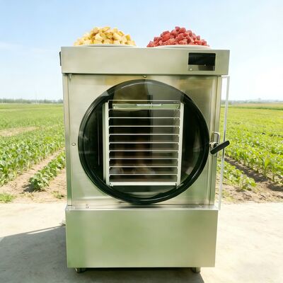 215kg Ev Tipi Dondurarak Kurutucu, 24-30 Saat Dondurarak Kurutma Döngüsü, Akıllı Sistem ve Uzaktan Kumanda Özellikli