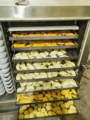 Soğutma Birimi Dondurucu Kurutmacı Belirli Güç 200KW Farmasötik Gıda ve Kimyasal Sanayi için Dondurucu Kurutma Ekipmanı