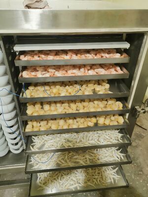 Farmasötik gıda ve kimyasal ürünlerin korunması için ideal olan 1000 kg seri kapasitesine sahip otomatik endüstriyel dondurucu kurutma makinesi