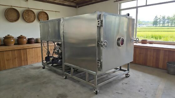 Drying Time 20 to 24 hours Vacuum freeze drying machine offering stable vacuum and temperature control for optimal drying