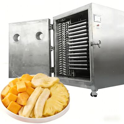 100Kg 200Kg Büyük Kapasite Liyofilizör Ticari Dondurucu Makine