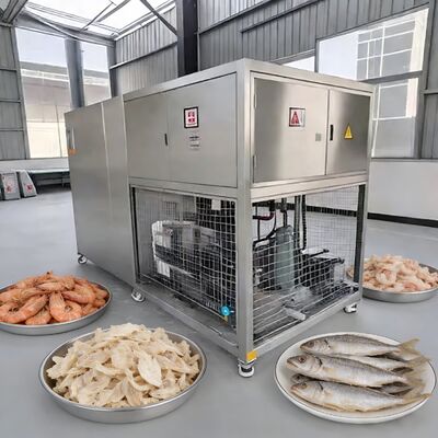 100kg parti Gıda Boosi veya  vakum pompası ile vakumlu dondurucu kurutma soğuk 40 ila 80 derece sıcaklık