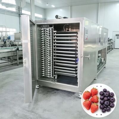 Oda Boyutu 12700 2600 3300mm PLC Kontrol Sistemi ve Kurutma Zamanı İçin Endüstriyel Dondurma Kurutma Makinesi 20 ila 24 saat Çalışmak için tasarlanmıştır