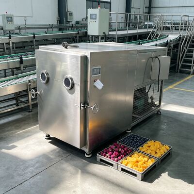 İki Kademeli Döner Kanatlı Vakum Pompası Sebze Dondurarak Kurutucu EXW Dehidrasyon ve Daha Uzun Raf Ömrü için Tasarlanmış Otomatik Çalışma Modu
